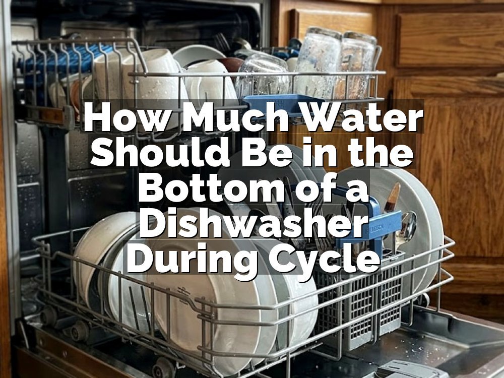 How Much Water Should Be in the Bottom of a Dishwasher During Cycle
