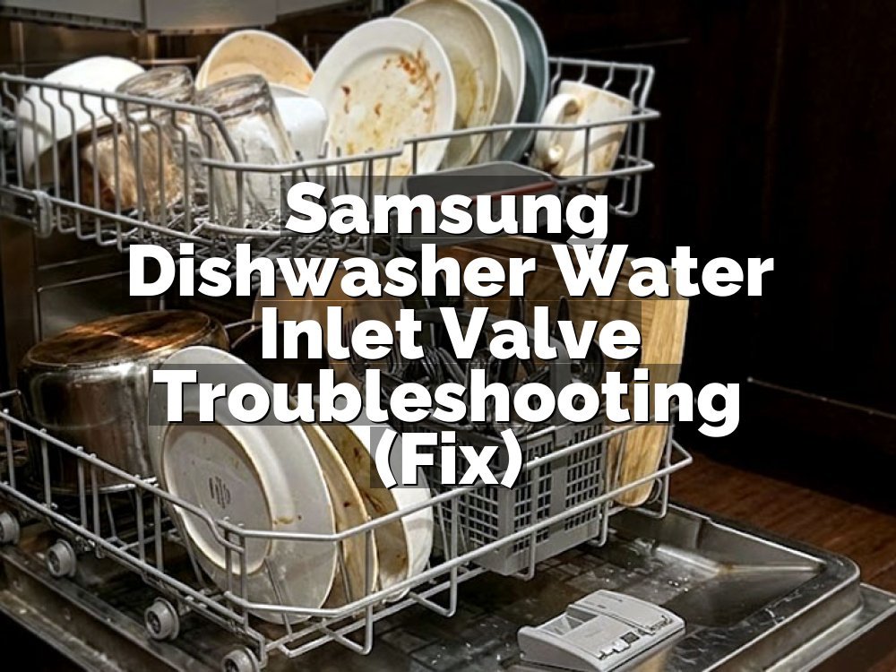 Samsung Dishwasher Water Inlet Valve Troubleshooting (Fix)