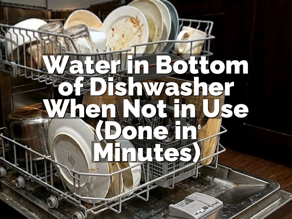 Water in Bottom of Dishwasher When Not in Use (Done in Minutes)