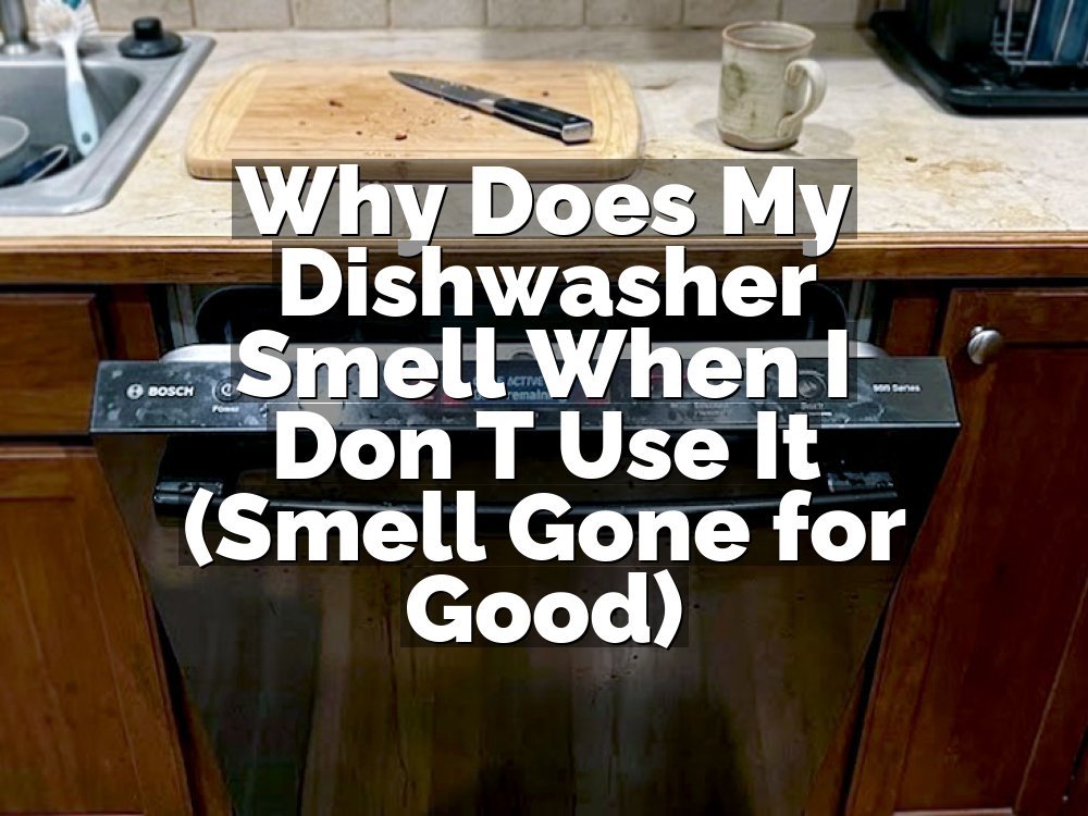 Why Does My Dishwasher Smell When I Don T Use It (Smell Gone for Good)