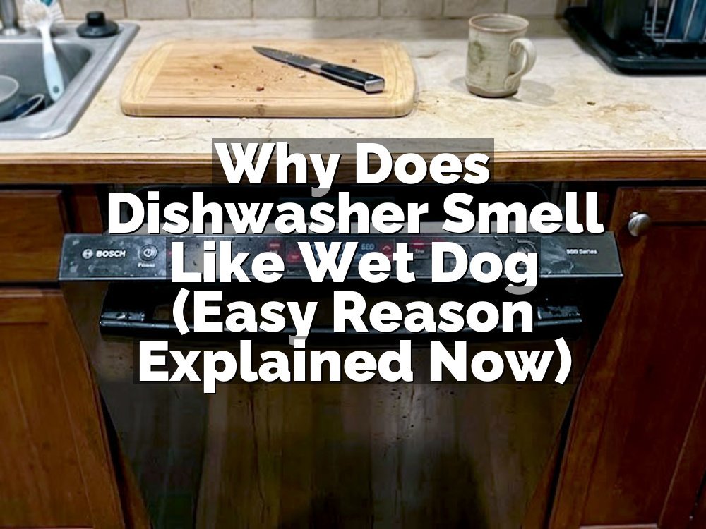 Why Does Dishwasher Smell Like Wet Dog (Easy Reason Explained Now)