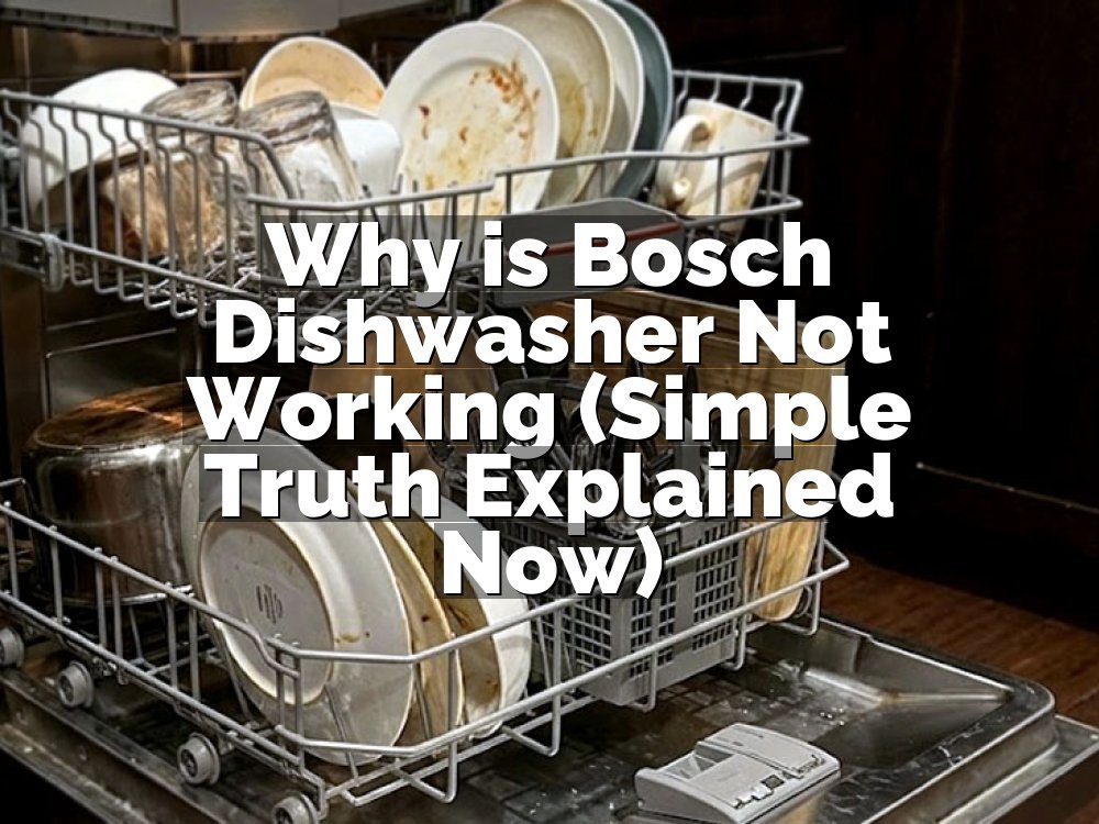 Why is Bosch Dishwasher Not Working (Simple Truth Explained Now)