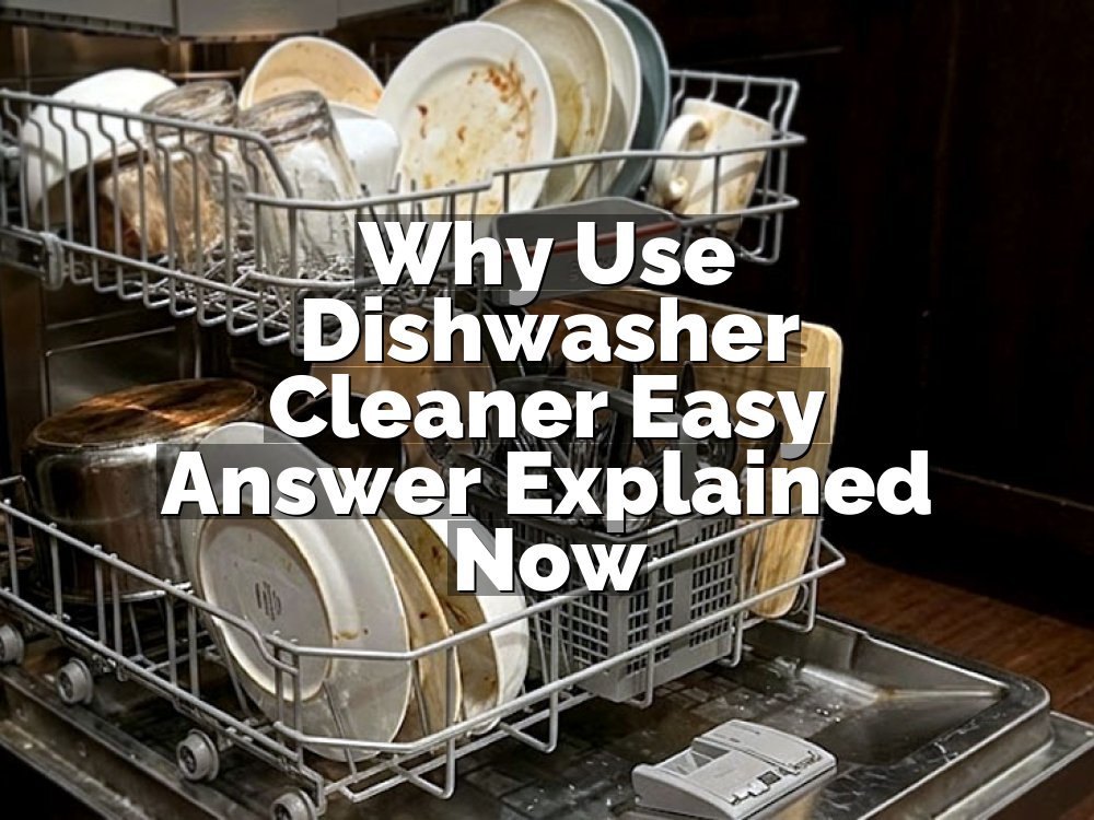 Why Use Dishwasher Cleaner Easy Answer Explained Now